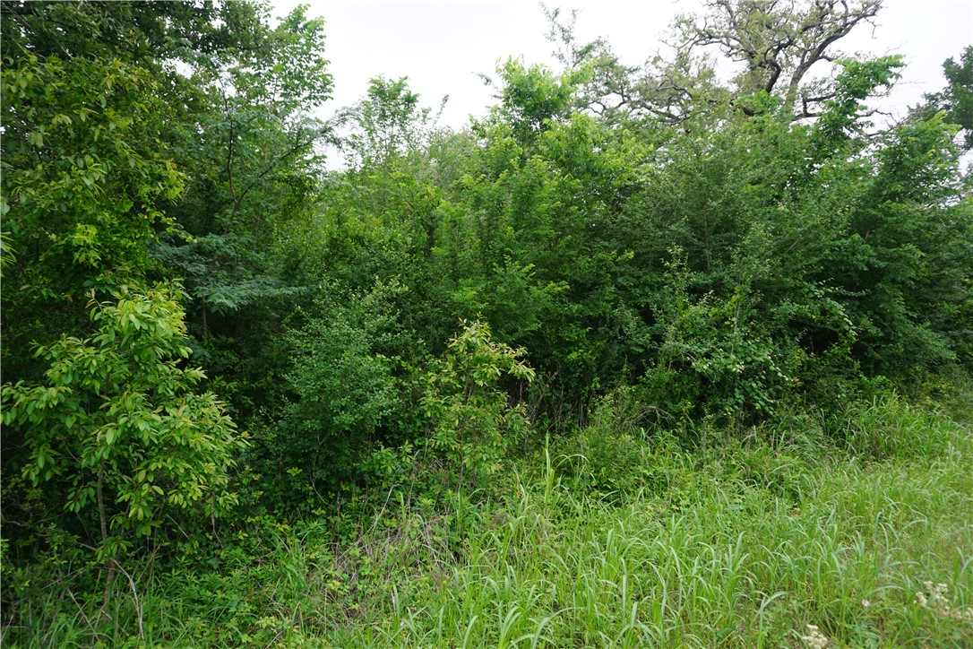 TBD Creek Side Cir