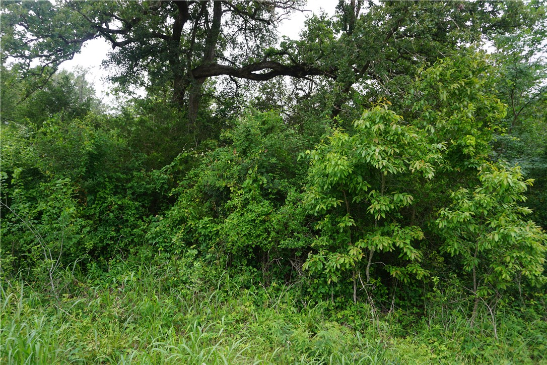 TBD Creek Side Cir