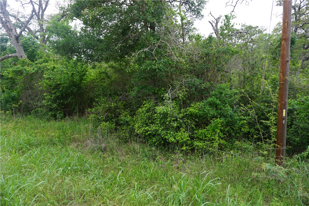 TBD Creek Side Cir