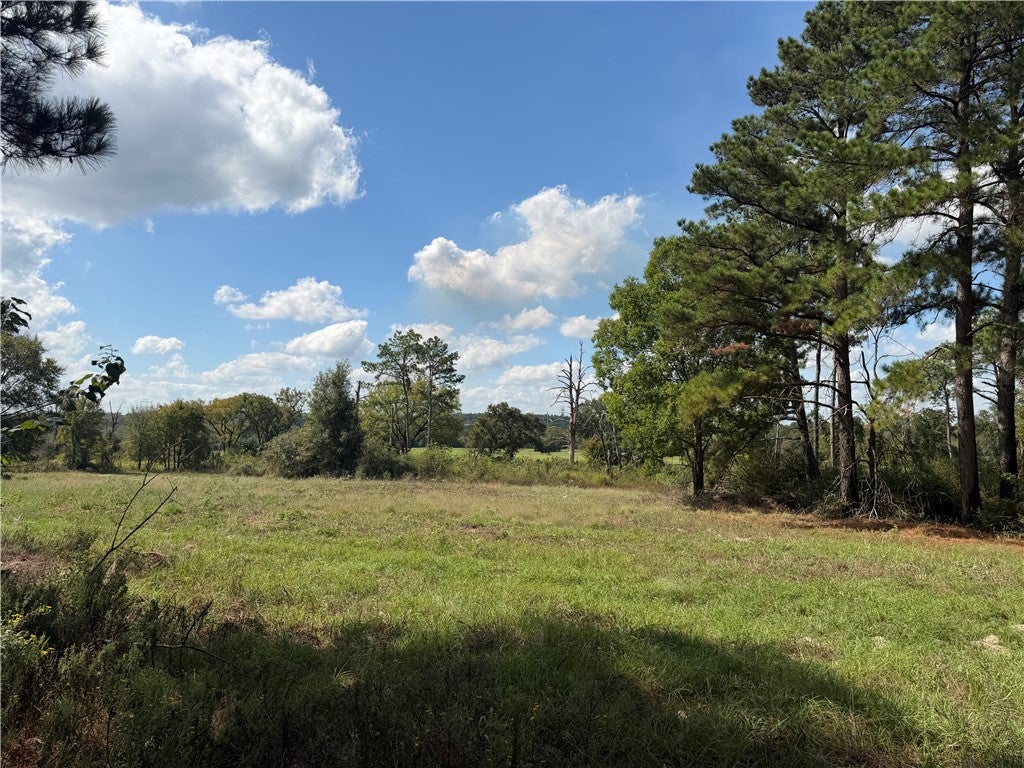 14234 Highway 90 N