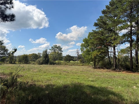 Photo of 14234 Highway 90 N, Bedias, TX 77831 (MLS # 26012372)