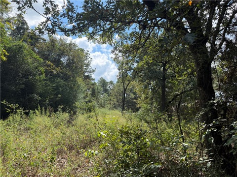 Tiny photo for 14234 Highway 90 N, Bedias, TX 77831 (MLS # 26012372)