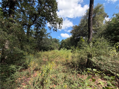 Tiny photo for 14234 Highway 90 N, Bedias, TX 77831 (MLS # 26012372)