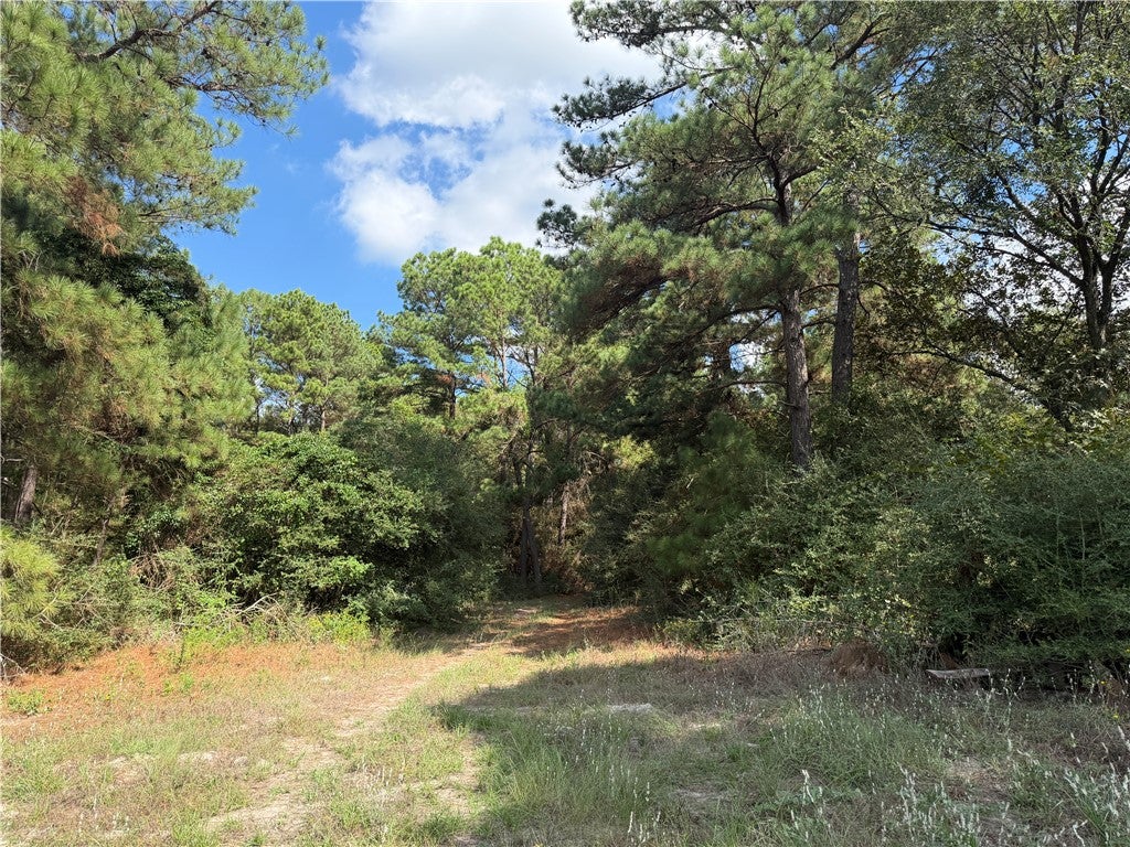 14234 Highway 90 N