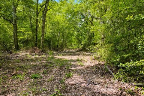 Tiny photo for 3457 County Road 364, Milano, TX 76556 (MLS # 26005305)