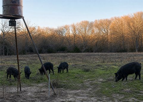 Tiny photo for 3457 County Road 364, Milano, TX 76556 (MLS # 26005305)