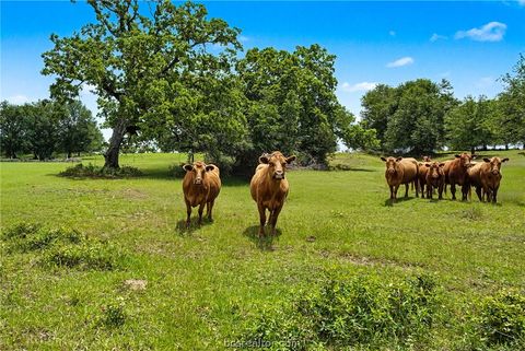 Tiny photo for 3457 County Road 364, Milano, TX 76556 (MLS # 26005305)