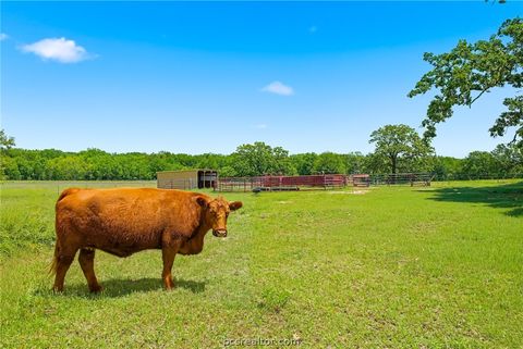 Tiny photo for 3457 County Road 364, Milano, TX 76556 (MLS # 26005305)