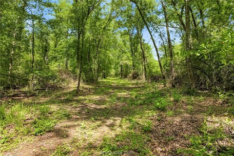 Tiny photo for 3457 County Road 364, Milano, TX 76556 (MLS # 26005305)