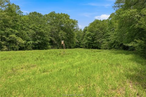 Tiny photo for 3457 County Road 364, Milano, TX 76556 (MLS # 26005305)