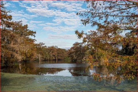 Tiny photo for 7654 County Road 121, Other, TX 77488 (MLS # 26003849)