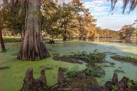 Tiny photo for 7654 County Road 121, Other, TX 77488 (MLS # 26003849)