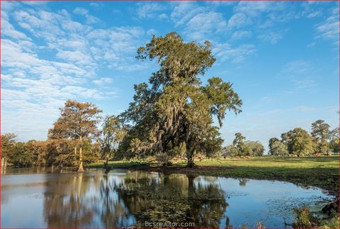 Tiny photo for 7654 County Road 121, Other, TX 77488 (MLS # 26003849)