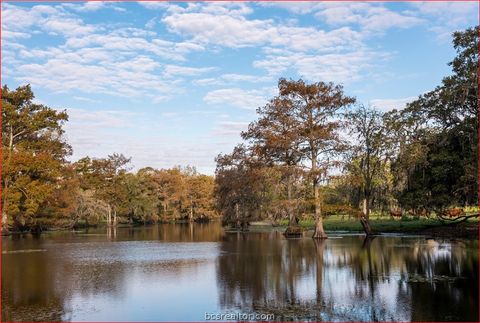 Tiny photo for 7654 County Road 121, Other, TX 77488 (MLS # 26003849)