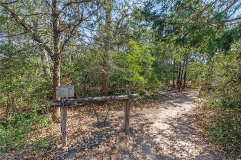 Tiny photo for 701 Birch Forest Dr, Somerville, TX 77879 (MLS # 26001900)