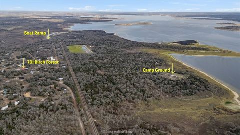 Tiny photo for 701 Birch Forest Dr, Somerville, TX 77879 (MLS # 26001900)