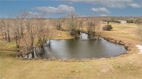 Tiny photo for 8912 County Road 121, Iola, TX 77861 (MLS # 26002041)