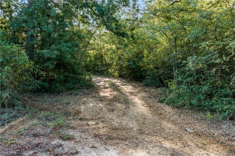 Tiny photo for 5209 Bucksnort Road, Franklin, TX 77856 (MLS # 26011038)