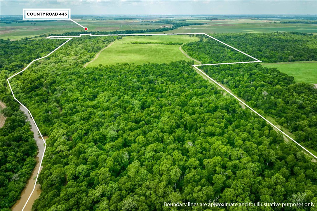 TBD CR 443 (Tract 2: +/-250 acres)