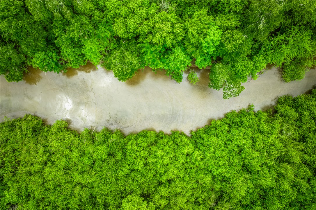 TBD CR 443 (Tract 2: +/-250 acres)