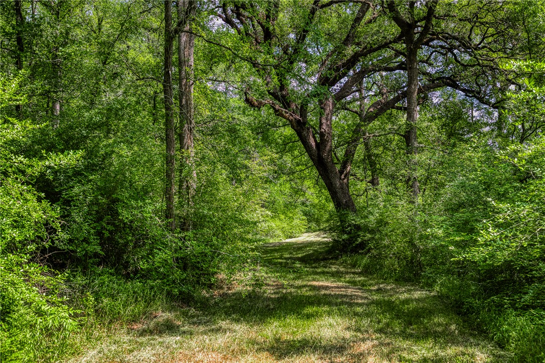 TBD CR 443 (Tract 2: +/-250 acres)