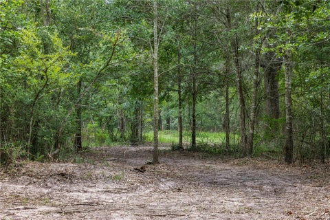 Tiny photo for 4986 Old Wagon Lane, Richards, TX 77873 (MLS # 26007331)