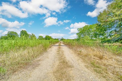TBD County Road 443 Snook TX 77878