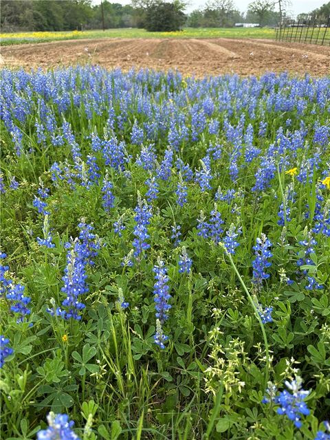Tiny photo for 18964 Old Bundick Rd. Road, Hearne, TX 77859 (MLS # 26007224)