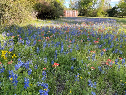 Tiny photo for 18964 Old Bundick Rd. Road, Hearne, TX 77859 (MLS # 26007224)
