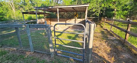 Tiny photo for 6538 Olympia Buddy Road, College Station, TX 77845 (MLS # 26004172)