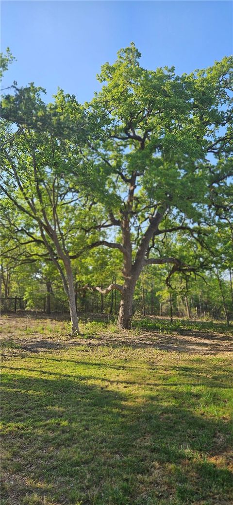Tiny photo for 6538 Olympia Buddy Road, College Station, TX 77845 (MLS # 26004172)