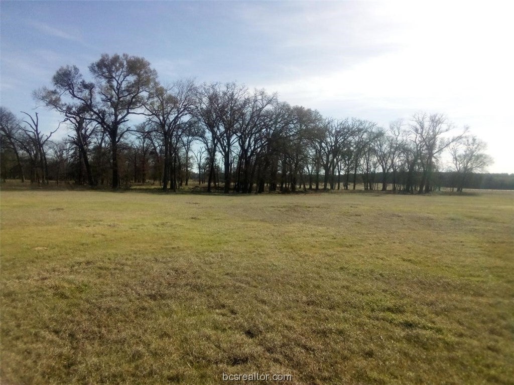 TBD County Road 231