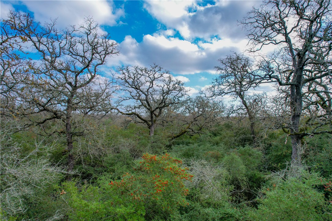 Tract 2 Silver Springs Road