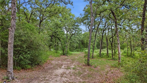 Tiny photo for 1629 Sawmill Road, Franklin, TX 77856 (MLS # 26011165)