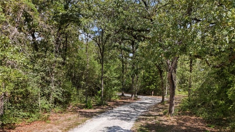 Tiny photo for 1629 Sawmill Road, Franklin, TX 77856 (MLS # 26011165)