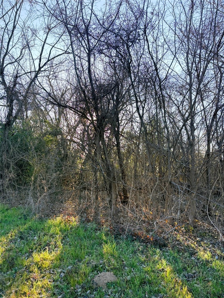 613 N San Jacinto Street