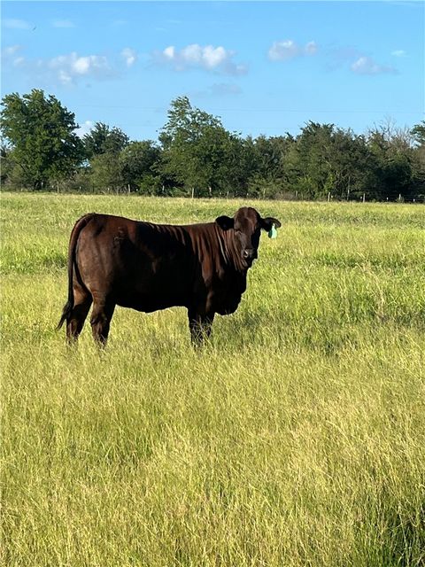 Tiny photo for 9163 N Fm 46, Franklin, TX 77856 (MLS # 26006035)