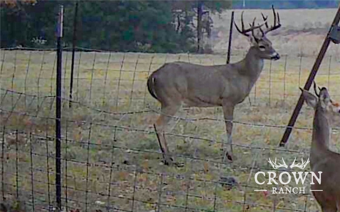 TBD FM 908 (+/-657 acres)