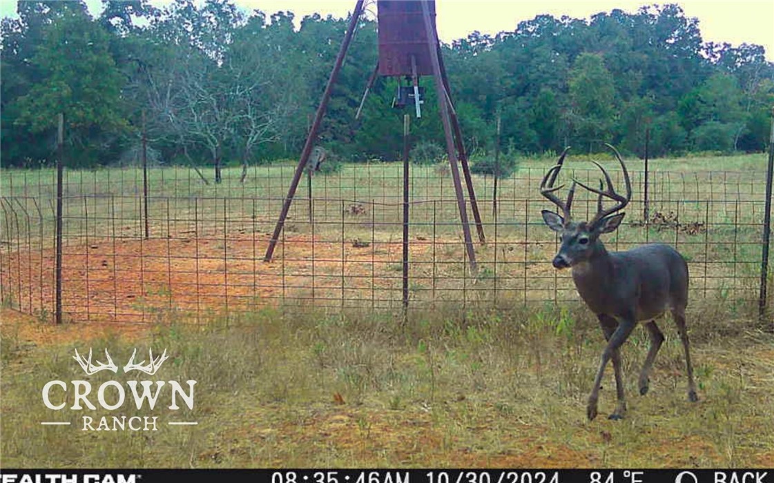 TBD FM 908 (+/-657 acres)