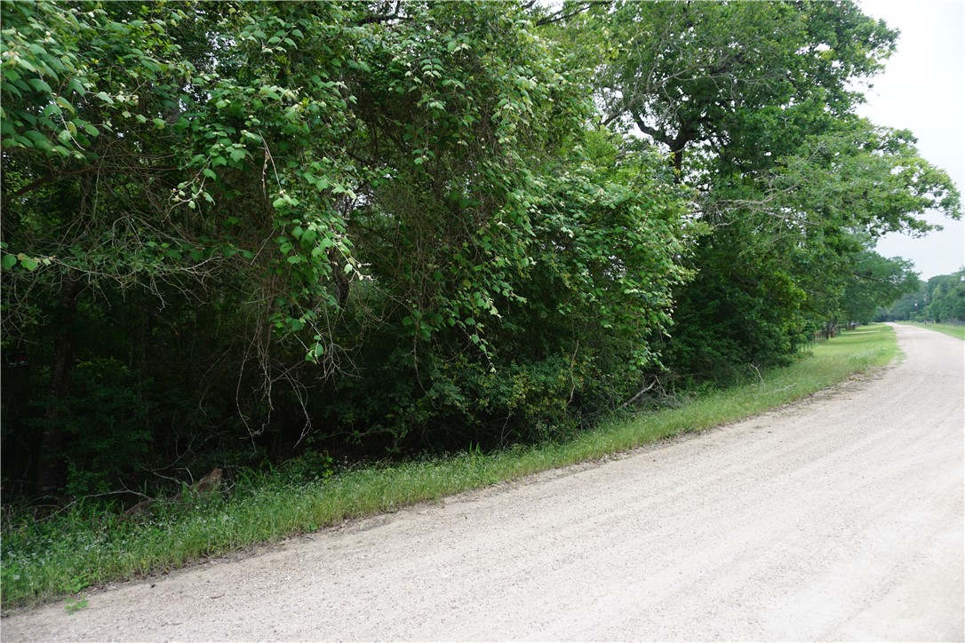 TBD Berry Creek Drive