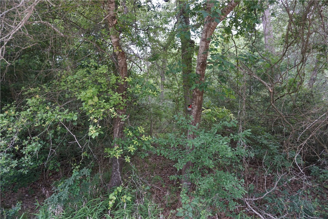 TBD Berry Creek Drive