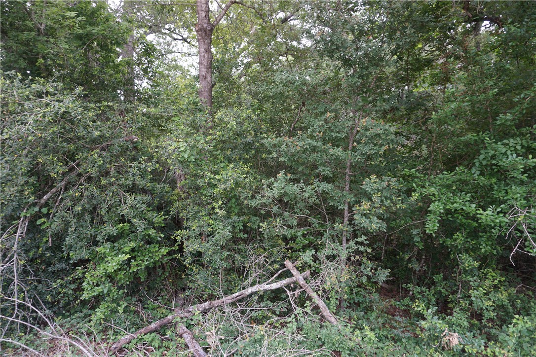 TBD Berry Creek Drive