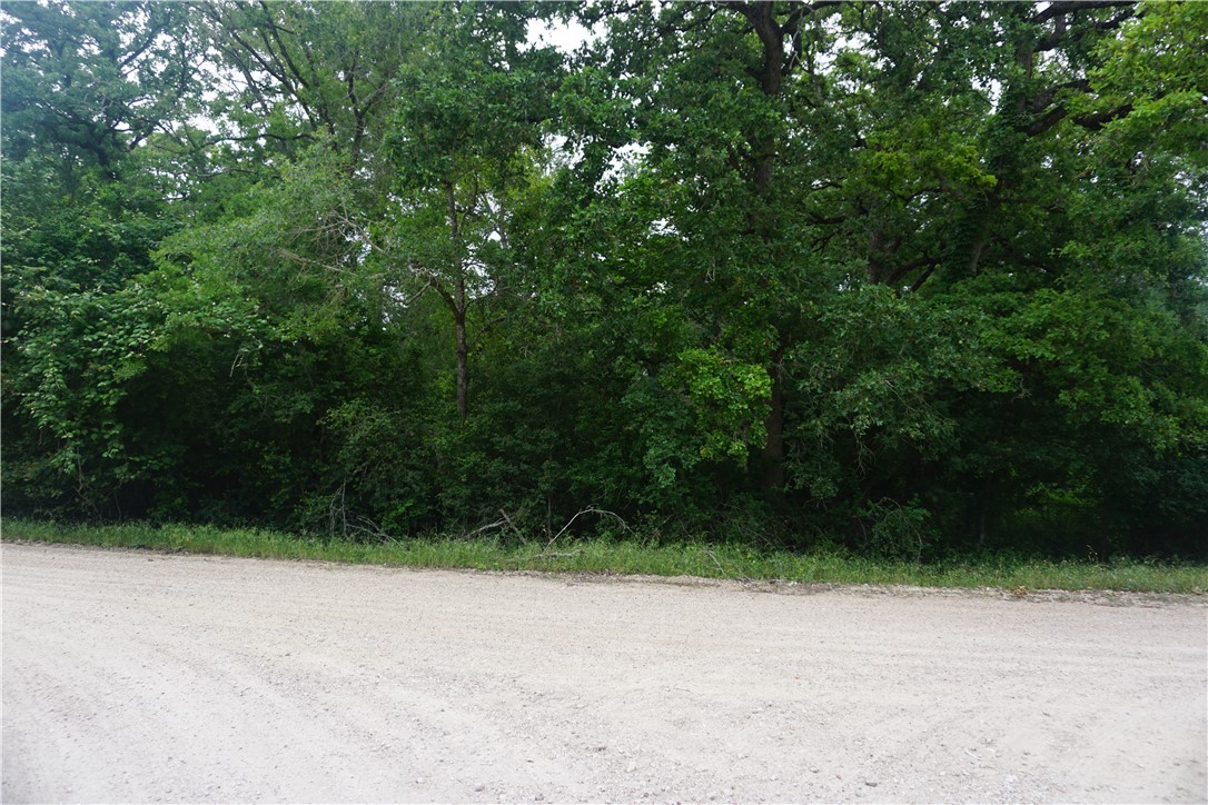 TBD Berry Creek Drive