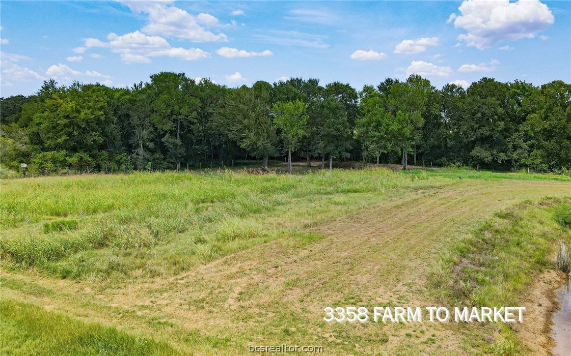 TBD FM 166 (+/-54 acres)