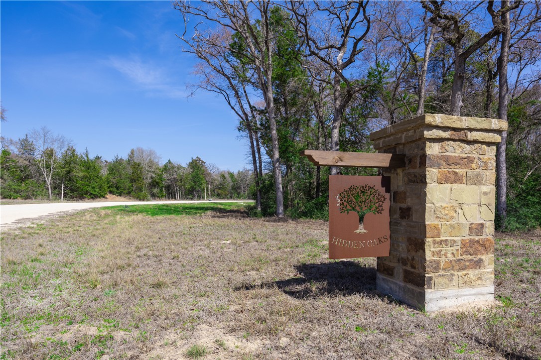 TBD (LOT 1) Hidden Hill Lane