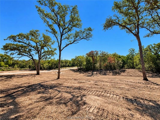 LOT 30-51 MEADOW STREET, SOMERVILLE, TX 77879 - Image 3c03f489d34a73aee9ffd0b117ba2d20/3193249362