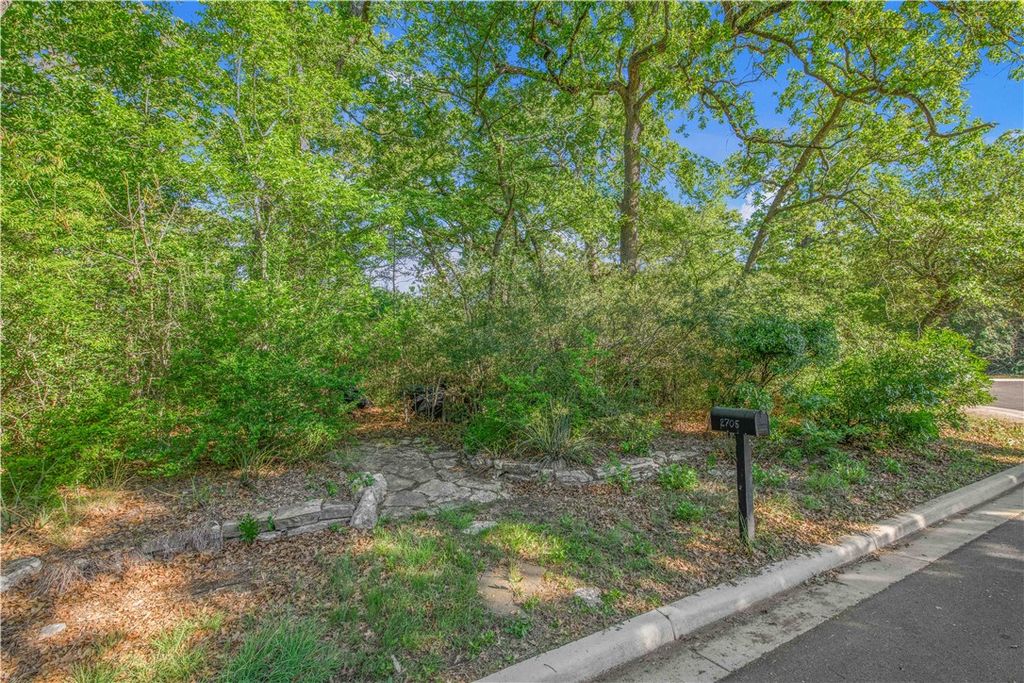 Photo of 2707 Teakwood Court, College Station, TX 77845 (MLS # 26004355)