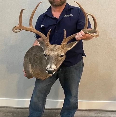 Tiny photo for 7196 S County Road 458, Normangee, TX 77871 (MLS # 26001053)