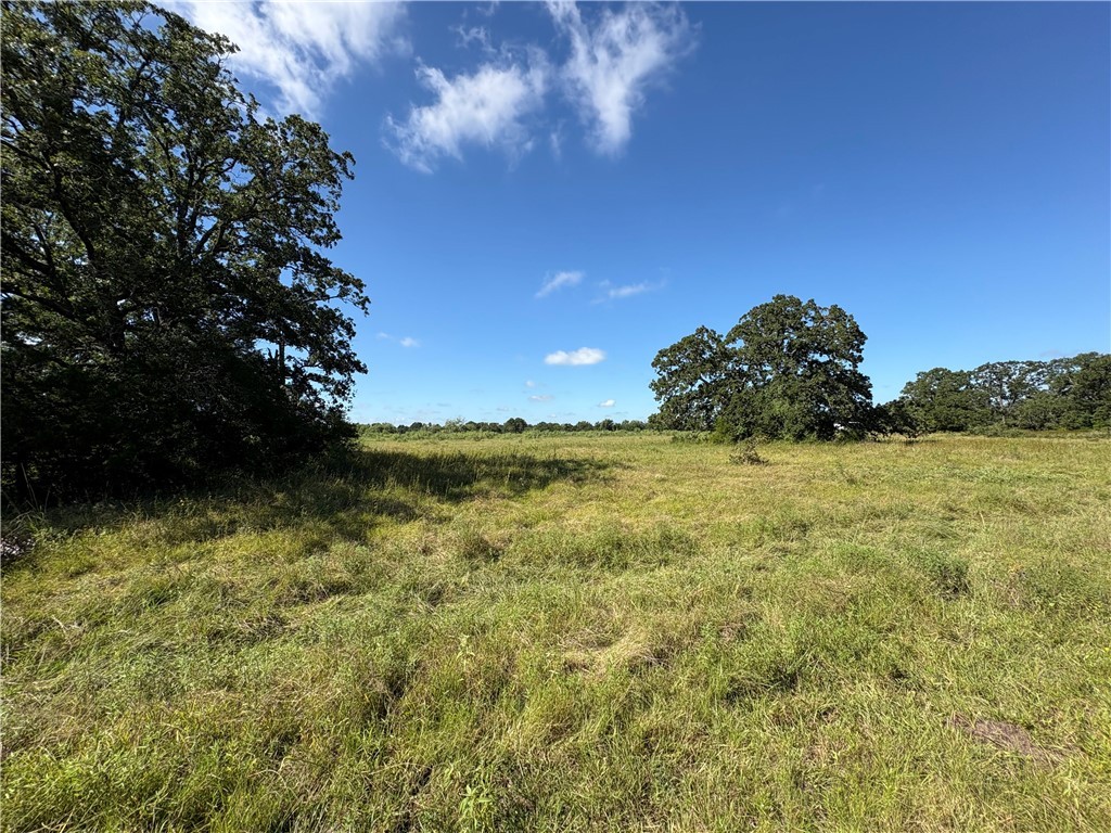 14393 County Road 228