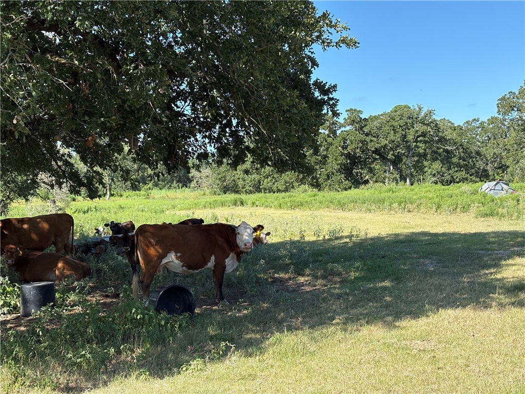 14393 County Road 228